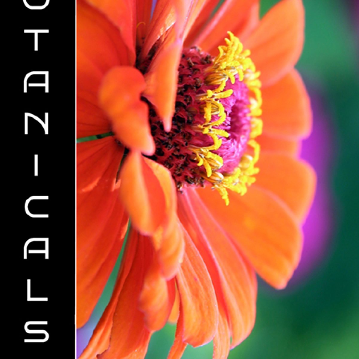 Botanicals Art Competition